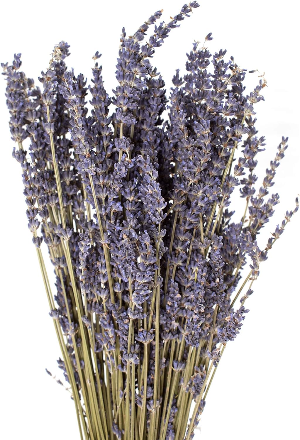 De La Terre Dried French Lavender Bundle