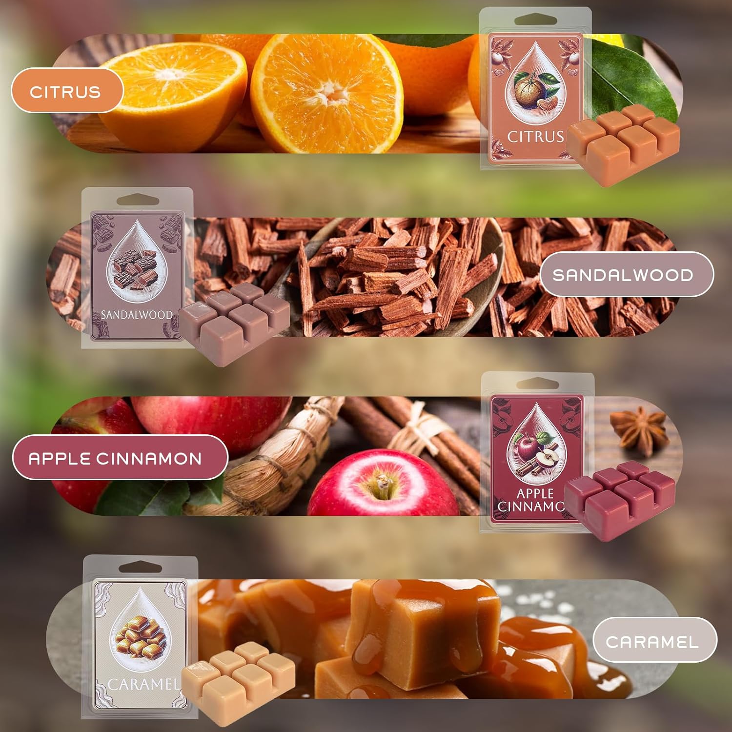 Soy Wax Melts with 8 Signature Scents