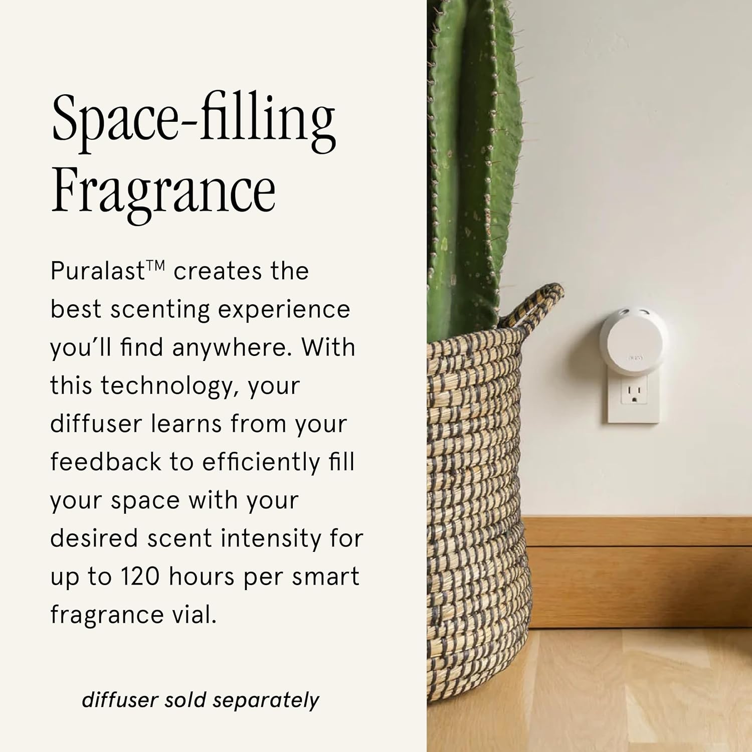 Pura Brooklyn Home Fragrance Refills - 2 Pack Palo Santo