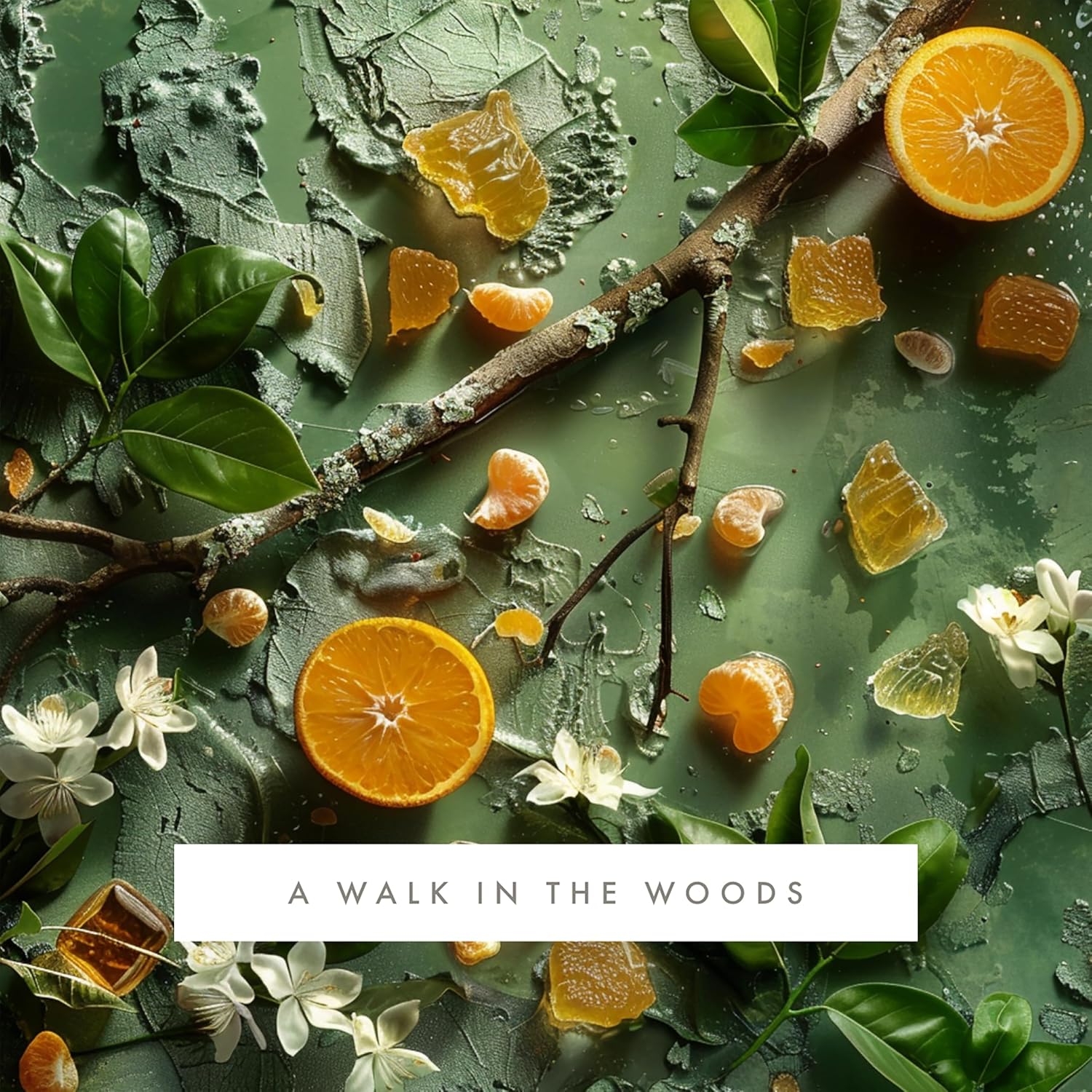 Monthly Fragrance Cartridge for Whisper Home - A Walk in the Woods 1