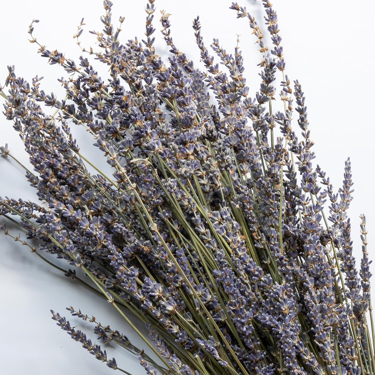 Lavender Sachet 6-Pack - Natural Dried Decor