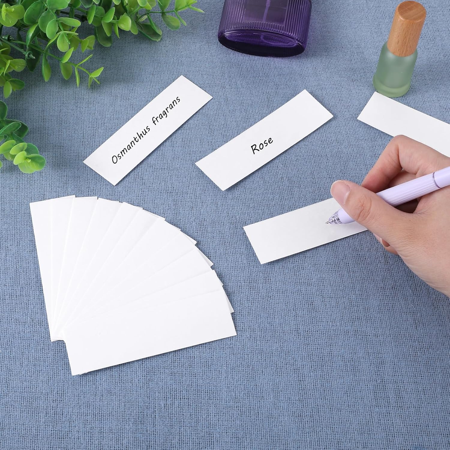 Mozeat Lens 200 Pcs Fragrance Test Strips