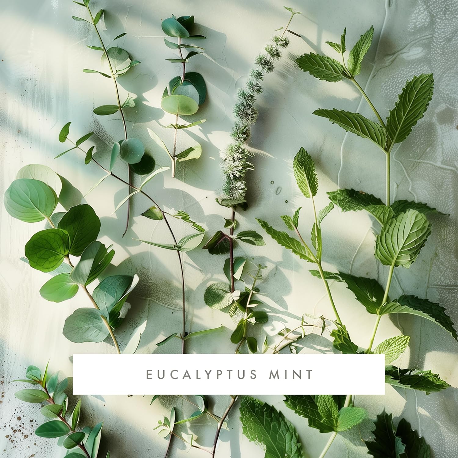 Monthly Fragrance Cartridge for Whisper Home - Eucalyptus Mint 1